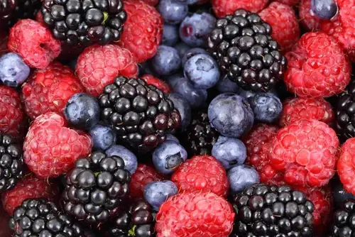 fruit high in antioxidants